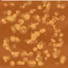 mechanic_sand.png